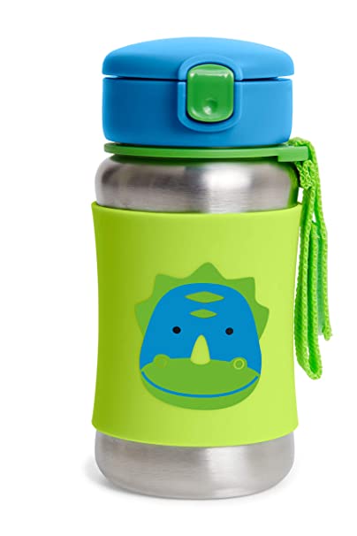 Skip Hop Toddler Sippy Cup Transition Bottle: Stainless Steel Bottle with Straw, Dino