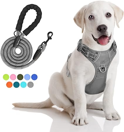 PoyPet No Pull Dog Harness and 5 Feet Leash Set, Release on Neck Reflective Adjustable Pet Vest, Front & Back 2 D-Ring and Soft Padded Pet Harness with Handle for Small to Large Dogs(Grey,M)