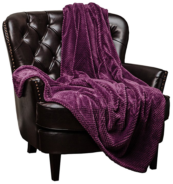 Chanasya Super Soft Warm Elegant Cozy and Decorative Velvet Fleece Aubergine Microfiber Throw Blanket (50" x 65") - Round Popcorn Texture Violet Purple