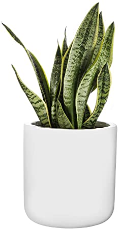 10 inch Plant Pot with Drainage Hole & Plugs, Indoor Outdoor Flower Pot, Modern White Garden Planter, Fiber Resin Plant Pot, Lightweight but Durable, Big, 10x10 inch