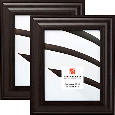 Craig Frames 76036 16 x 20 Inch Picture Frame, Contemporary Dark Brown, Set of 2