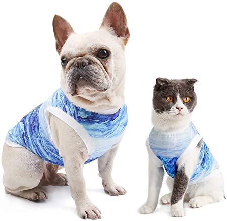 DELIFUR Dog Cool Vest Instant Cooling Clothes for Bulldog Cats on Summer (Large)