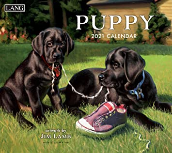 LANG Puppy 2021 Wall Calendar (21991001937)