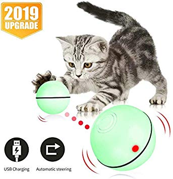 MOSOY Cat Toys Ball with LED Light,[2019 Upgraded] 360 Degree Self-Rotating Ball USB Rechargeable Interactive Cat Ball Toy,Stimulate Hunting Instinct Kitten Funny Chaser Roller Pet Toy-Green