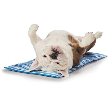 Slumber Pet Cool Pup Mat