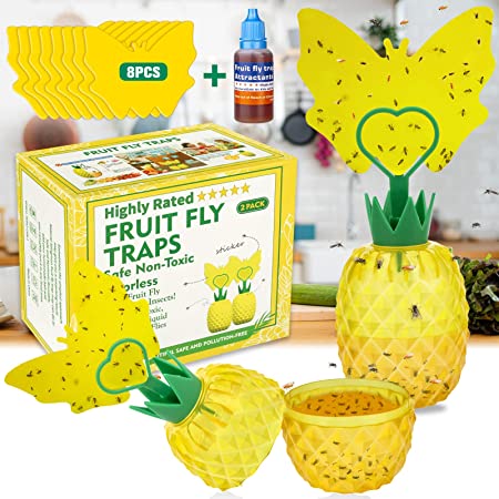 Fruit Fly Traps with 8Pcs Sticky Pads,Gnat Traps with Bait Non-Toxic Fruit Fly Traps for Indoors Outdoor Odorless Safe Fly Catcher Gnat Fruit Flies Trap Fly Insect Trap for Plant House Kitchen,2 Pack