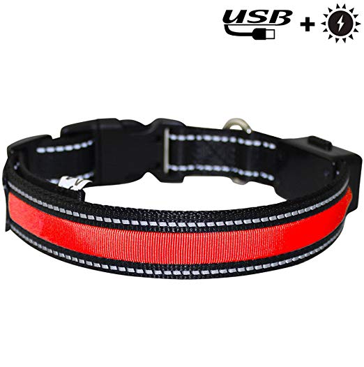 PerSuper LED Pet Collar,Solar Charging Flashing & Reflecting Light Up Dog Collar,USB Rechargeable LED Collar,Waterproof & Adjustable Collar for Safety Outdoor Night Walk (L(15.75-19.69 in), Red)