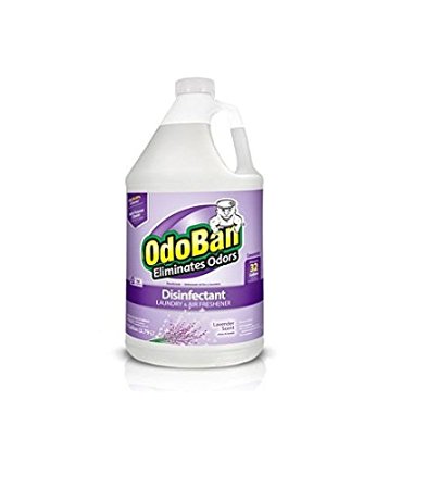 OdoBan Odor Eliminator and Disinfectant Concentrate, Lavender
