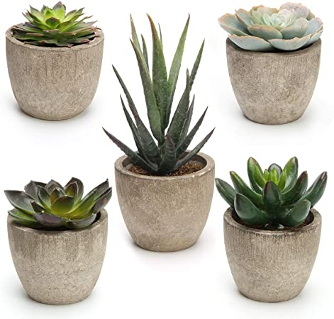 Artificial Succulent Plants 5 Pack, CoiTek Decorative Faux Succulent Potted Fake Cactus Grass Cacti Plants Pots (5 Pack)
