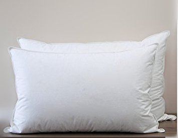 Duck Down Pillow Pair Bedroom Soft Cushion Insert 100% Organic Cotton 300TC (USA Standard 51x66cm(20x26inch), White)