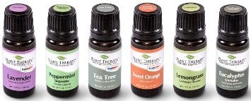 Top 6 Essential Oil Sampler Set Includes 100 Pure Undiluted Therapeutic Grade Essential Oils of Lavender Eucalyptus Sweet Orange Peppermint Lemongrass and Tea Tree 10 ml each