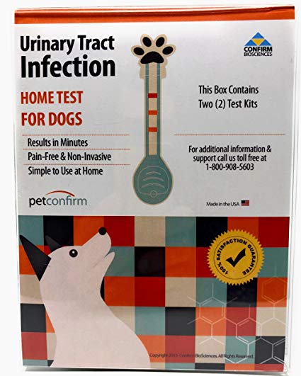 PetConfirm Dog Urinary Tract Infection Test for Dogs (2 Tests)