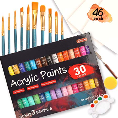 46 Pack Acrylic Paint Set, 30 Colors Acrylic Paint with 10 Paint Brushes 3 Painting Canvas 1 Paint Knife 1 Palette 1 Sponge, Complete Set For Canvas Wood Ceramic, Perfect Gift For Beginners Adults