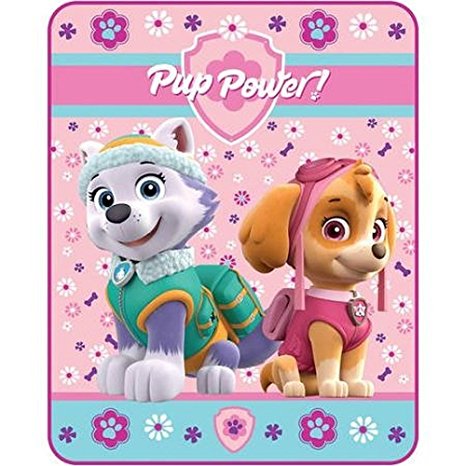 Paw Patrol Silky Soft Throw - Skye and Everest, 40 x 50 Inch