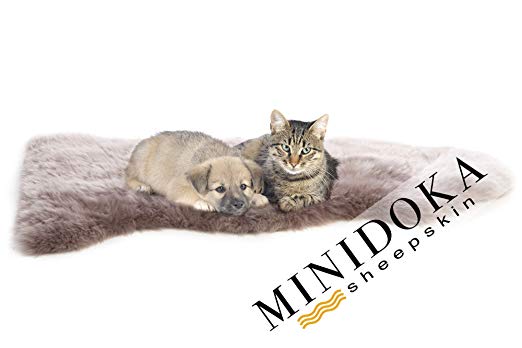 Desert Breeze Distributing Minidoka Sheepskin Natural New Zealand Lambskin Pet Rug Dog Cat, Soothing, Soft Shorn Wool Ultimate Comfort