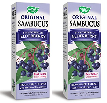 Nature's Way Sambucus Black Elderberry Original Syrup, 8 Ounce, 2 Pack