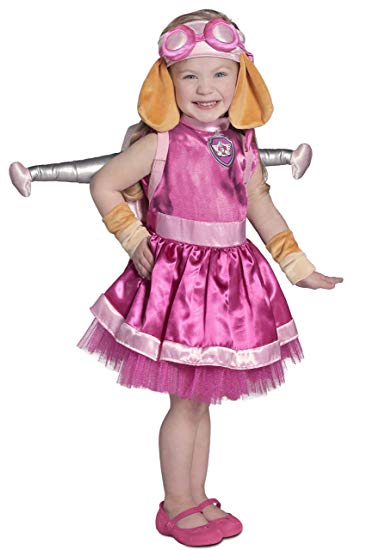 Princess Paradise Paw Patrol Skye Costume, Pink, Small
