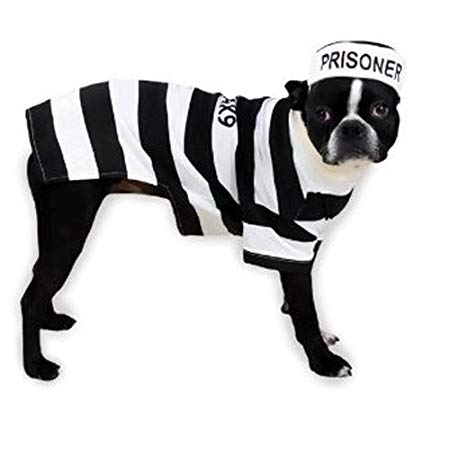 Prison Pooch Dog Costume