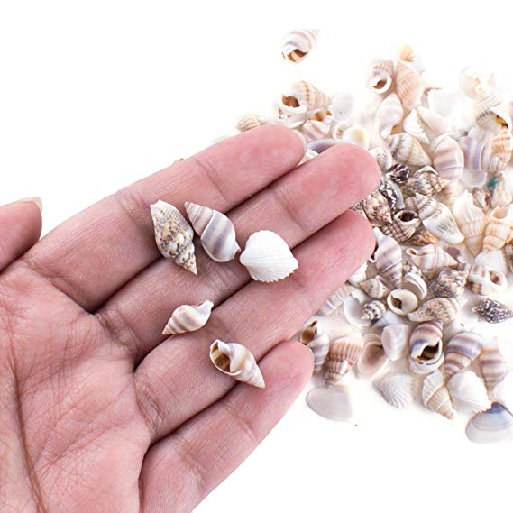 Tiny Miniature Fairy Garden Beach Critter Seashells Marine Life Collection for Arts & Crafts Projects, Decorations, Party Favors, Invitations (2 Tbsp Pack)