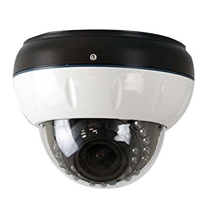 GW Security Inc VD790WD 1/3-Inch Sony CCD Security Outdoor Camera