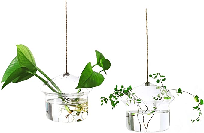 Ivolador Mushroom-Shaped Hanging Glass Flower Planter Vase Terrarium Container for Hydroponic Plants Home Garden Decor