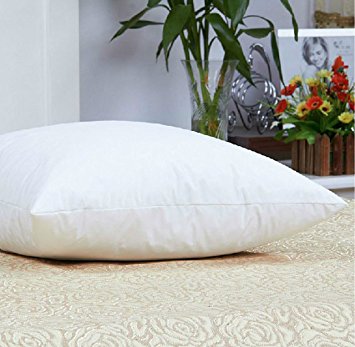 Luxuredown White Goose Down Pillow, Firm - King Size