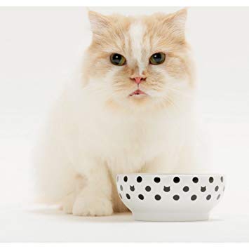 Necoichi Anti-Spill Cat Food Bowl, Effective Double Anti-Spill Smart Lips, FDA and EC/ECC European Standards