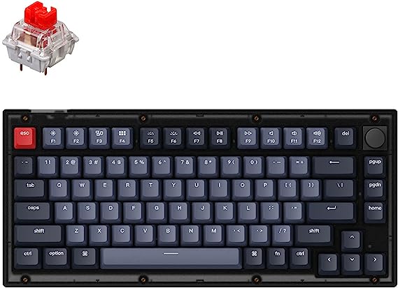 Keychron V1 Hot-swappable Custom Mechanical Keyboard, 75% Layout Knob QMK/VIA Programmable RGB Backlight, Type-C Wired with Keychron K Pro Red Switch for Mac Windows - Frosted Black (Translucent)