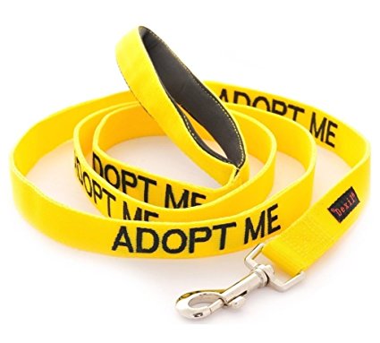 ADOPT ME Yellow Color Coded 4 Foot Padded Dog Leash (New Home Needed) Donate To Your Local Charity