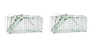 Havahart 1083 Easy Set One-Door Cage Trap for Squirrels and Small Rabbits (2-(Pack))