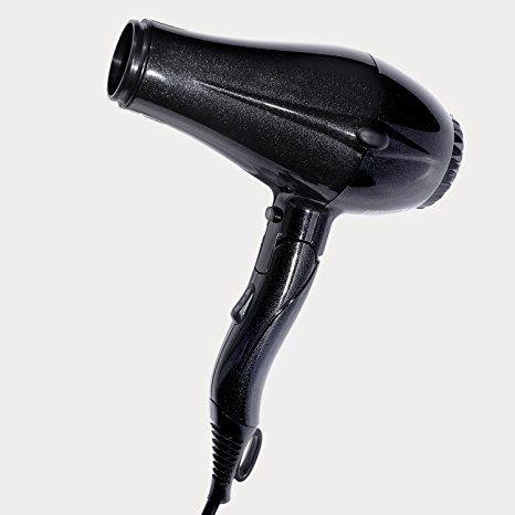 PARWIN PRO 1875W DC Motor Blow Dryer Ionic Ceramic Hair Dryer with Concentrator Nozzle, Black
