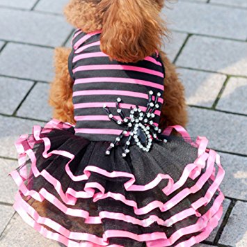 Binmer(TM)Fashion Dog Clothes Pet Dog Puppy Tutu Dress Princess Striped Spider Lace Skirt Clothes Apparel