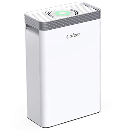COLZER Air Purifier with True HEPA Air Filter, Air Purifier for Bedroom, for Spaces Up to 550 Sq Ft, Perfect for Home/Office with Composite Filter
