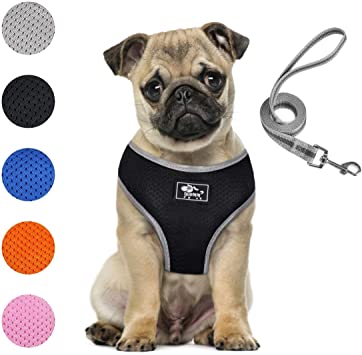 Puppy Harness and Leash Set - Dog Vest Harness for Small Dogs Medium Dogs- Adjustable Reflective Step in Harness for Dogs - Soft Mesh Comfort Fit No Pull No Choke