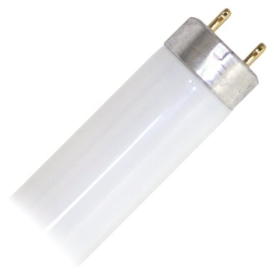 GE 10702 - F26T8/CW/4 - 26 in. - 19 Watt Fluorescent Tube - T8 - 4100K