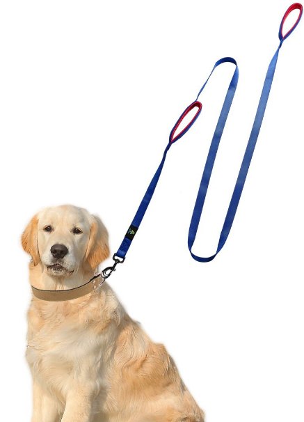 Dog Leash 2 Handles-QOL TOP- Dog Training Leash-Extra Long 8ft Lead -Dual Padded Handles for Medium Dog or Large Dog-Heavy Duty-Pet Supplies for Dogs Leashes