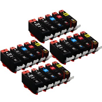 E-Z Ink TM Compatible Ink Cartridge Replacement for Canon PGI-220 CLI-221 4 Large Black 4 Cyan 4 Magenta 4 Yellow 4 Small Black 20 Pack