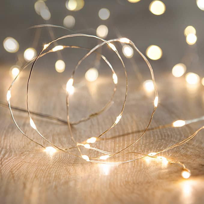 Lights4fun, Inc. 20 Warm White Battery Operated Micro LED Indoor Silver Wire String Lights