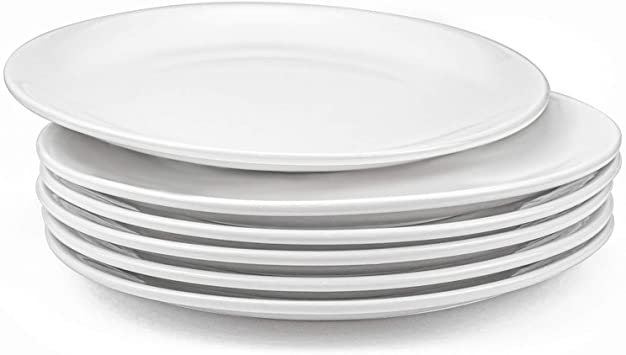 Foraineam 6 Pieces Porcelain Dinner Plates Approximate 10 Inch Round Salad Plate White Dinnerware Dish Catering Serving Plates