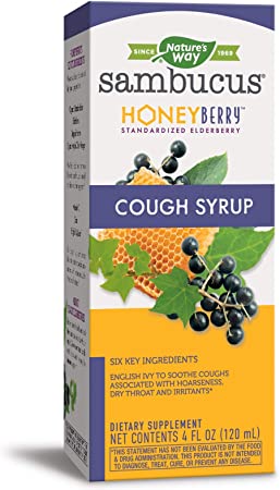 Nature’s Way Sambucus HoneyBerry Cough Syrup, with Black Elderberry Extract and Organic Honey, Vegetarian, 4 Fl. Oz