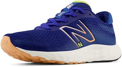 New Balance Women's 520 V8 Running Shoe