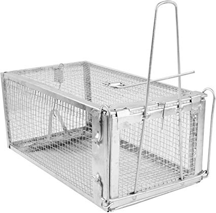 GPCT Live Humane Animal Steel Cage Rat Trap W/Started Bait. Catches Mouse/Mice/Voles/Squirrels/Chipmunks/Opossums/Weasels/Gophers/Other Similar-Sized Rodents. Easy Setup & Re-Release the Animals
