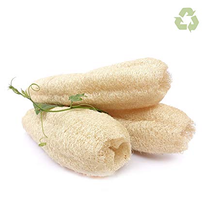 Whole Natural Loofah | Pack 3| Vegetable Dish Scouring Pad for Kitchen | Bath Sponge Body Exfoliating Scrubber Shower | Lufa Loofa Luffa Cellulose Biodegradable Compostable Zero Waste Washer