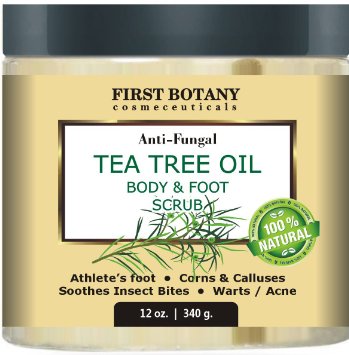 100 Natural Anti Fungal Tea Tree Oil Body and Foot Scrub 12 oz with Dead Sea Salt - Best for Acne Dandruff and Warts Helps with Corns Calluses Athlete foot Jock Itch and Body Odor