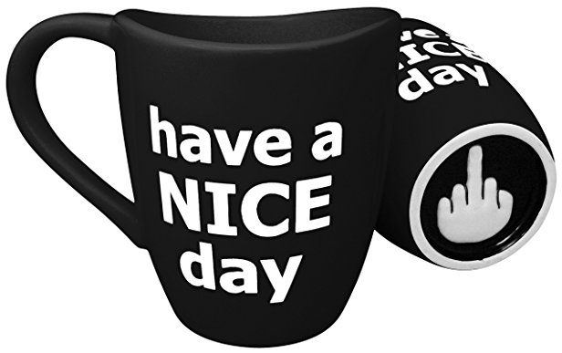 Decodyne Have a Nice Day Coffee Mug, Funny Cup with Middle Finger on the Bottom 14 oz. (Black)