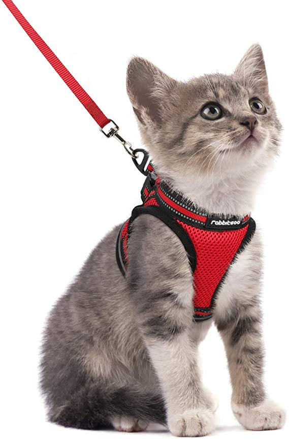 rabbitgoo Cat Harness and Leash Set for Walking Escape Proof, Adjustable Soft Kittens Vest with Reflective Strip for Cats, Step-in Comfortable Outdoor Vest, Red, S (Chest:9.0"-12.0")…