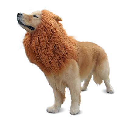 RWM Lion Mane for Dog - Halloween Dog Costume Large Size - Hilarious Realistic & Funny Majestic Looking Hoods with Ear and Tails - Great Pet Gift Choice for Christmas,Pet Birthday Party