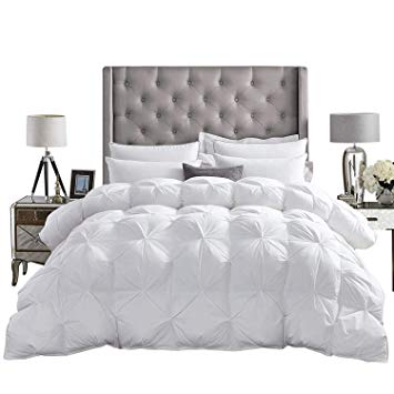 Luxurious All-Season Goose Down Comforter Duvet Insert, Exquisite Pinch Pleat Design, 1200 Thread Count 100% Egyptian Cotton Down Proof Fabric, 750+ Fill Power, 55 oz Fill Weight, White (Twin)