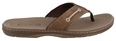 SPERRY Men's Havasu Sandal