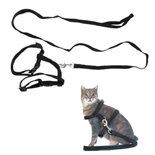 MR.Jiang Adjustable Pet Cat Kitten Lead Leash Harness Set Nylon Collar Safty Belt Training Black